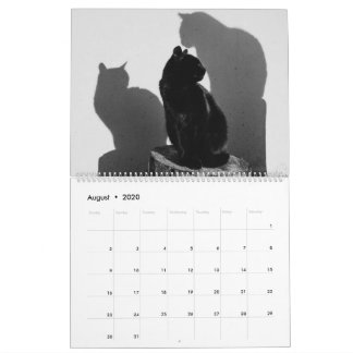 Calendário Gatos e Gatinhos Pretos Gatinhos Gatinhos Gatinhos