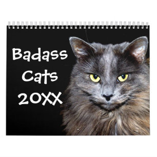 Calendário Gatos Engraçados com Catitude