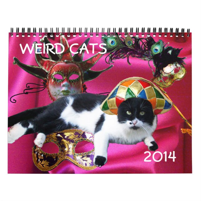 CALENDÁRIO GATOS ESTRANHOS 2014 (Capa)