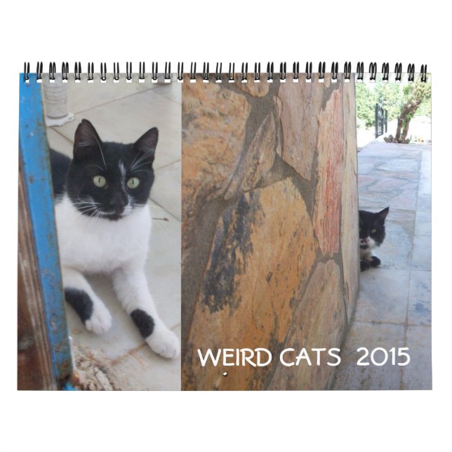 CALENDÁRIO GATOS ESTRANHOS 2015 (Capa)