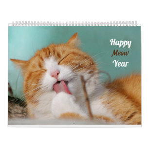 Calendário Gatos fofos Fotos engraçadas de gatos Adoráveis ga