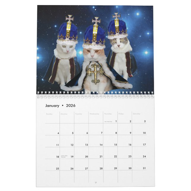 Calendário Gatos/gatinhos engraçados (Jan 2026)