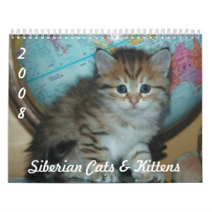 Calendário GATOS & GATINHOS Siberian CAL2008