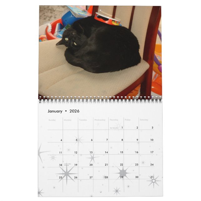 Calendário Gatos, Gatos Gloriosos (Jan 2026)
