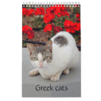 Gatos gregos - instantâneos dos pequenos companhei