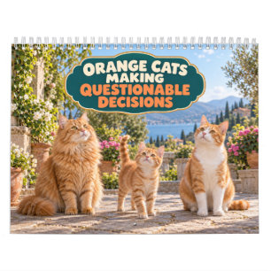 Calendário Gatos Laranjas Engraçados Tomando Decisões Questio