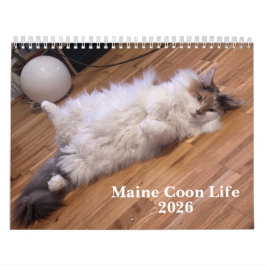 Calendário Gatos Maine Coon | Vida de Maine Coon