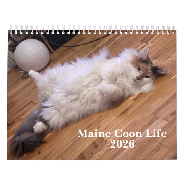Calendário Gatos Maine Coon | Vida de Maine Coon (Capa)