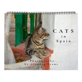 Calendário Gatos na Espanha