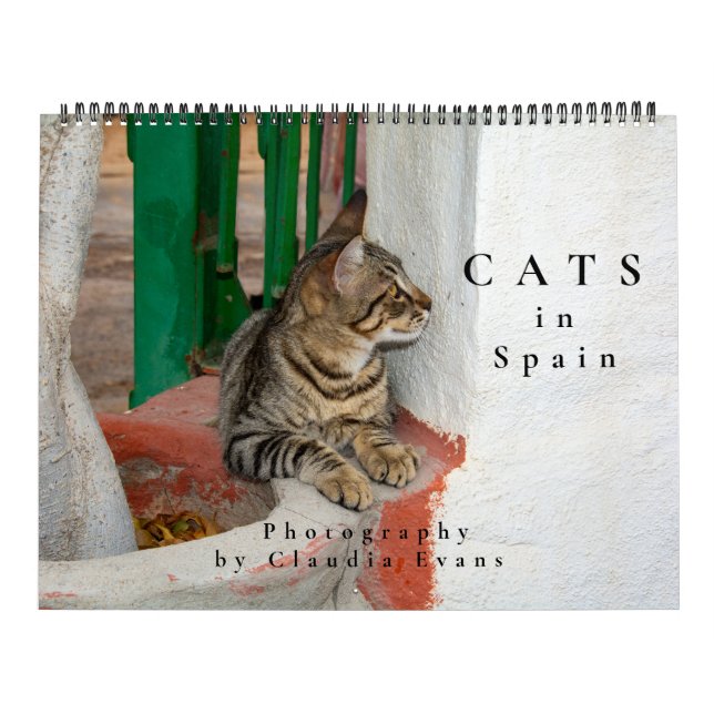 Calendário Gatos na Espanha (Capa)