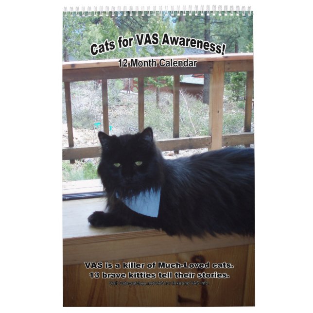 Calendário Gatos para a consciência do VASO! (Vertical) (Capa)