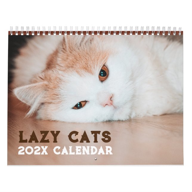 Calendário Gatos Preguiçosos Engraçados 2026 (Capa)