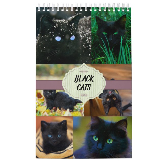 Calendário Gatos Pretos - Uma Página (Capa)
