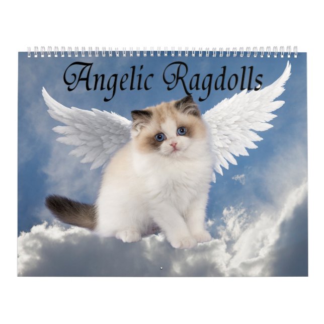Calendário Gatos Ragdoll Angelicais (Capa)