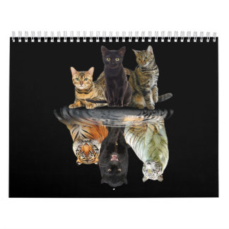 Calendário Gatos Refletem Amigos De Gato Bonitos Tigre