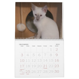 Calendário Gatos Siameses