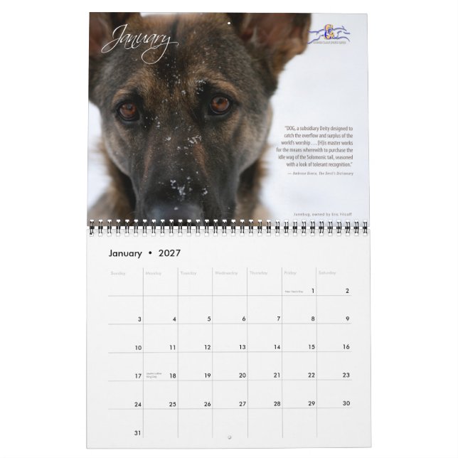 Calendário genérico de 2010 cães dos esportes (Jan 2027)