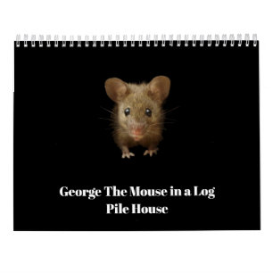 Calendário George, o rato com as velas