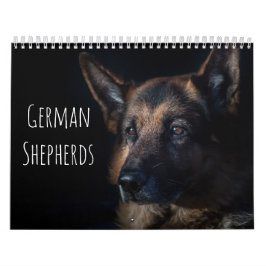 Calendário German shepherd
