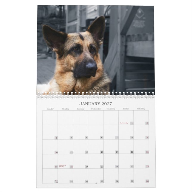 Calendário - german shepherd (Jan 2027)