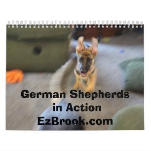 Calendário German shepherd na ação
