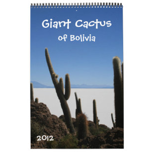 calendário gigante 2012 do cacto
