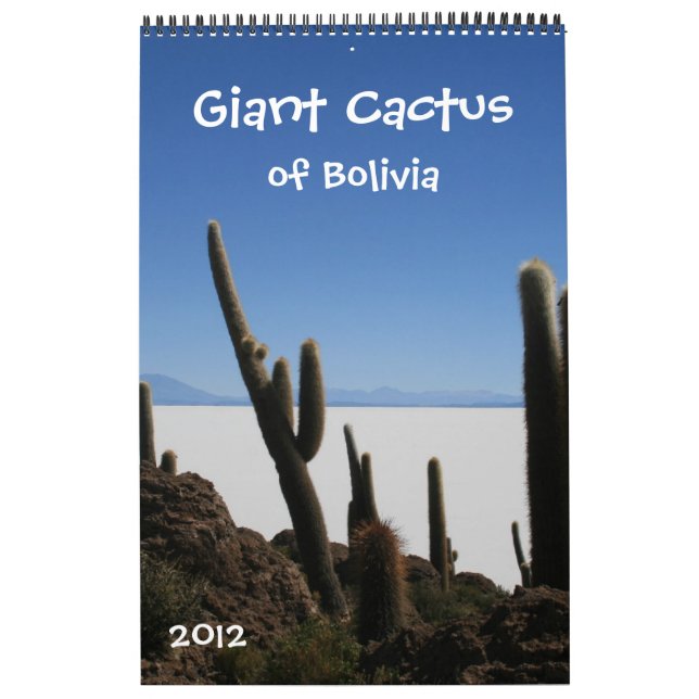 calendário gigante 2012 do cacto (Capa)