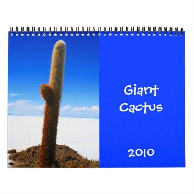 calendário gigante do cacto 2010 (Capa)