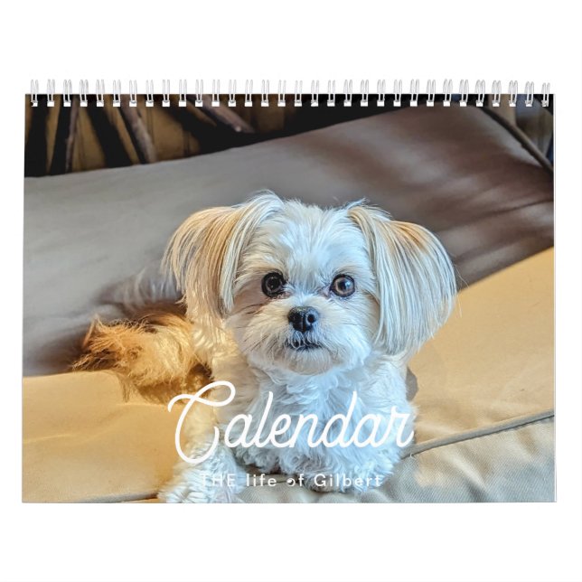 Calendário Gilbert 2025 (Capa)
