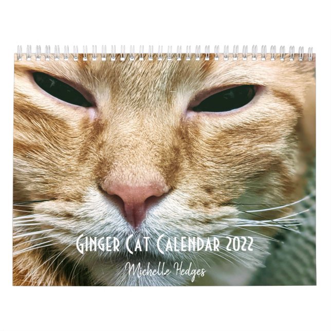 Calendário Ginger Cat Wall Calendar 2022 (Capa)