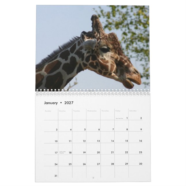 Calendário Girafa 2010 (Jan 2027)