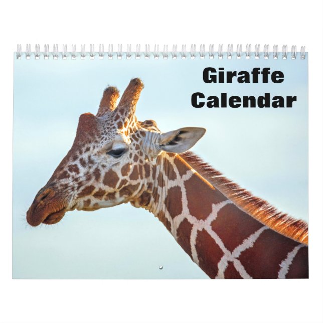 Calendário Girafa 2027 (Capa)
