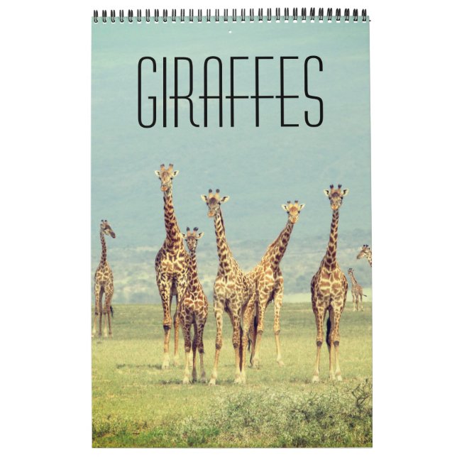 Calendário girafa africano safari (Capa)