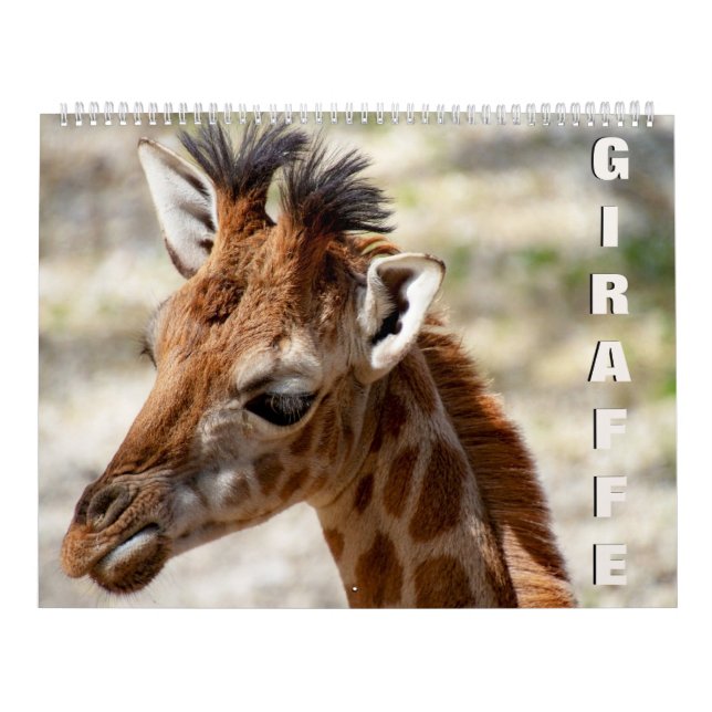 Calendário Girafa Calendar (Capa)