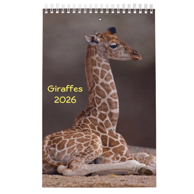 Calendário Girafas (Capa)