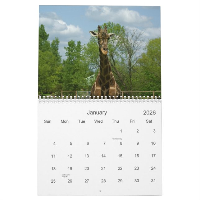 Calendário Girafas (Jan 2026)