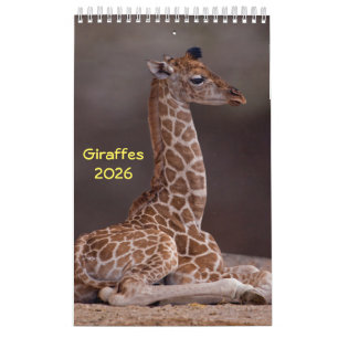 Calendário Girafas Calendar 2025