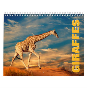 Calendário Girafas Wall Calendar