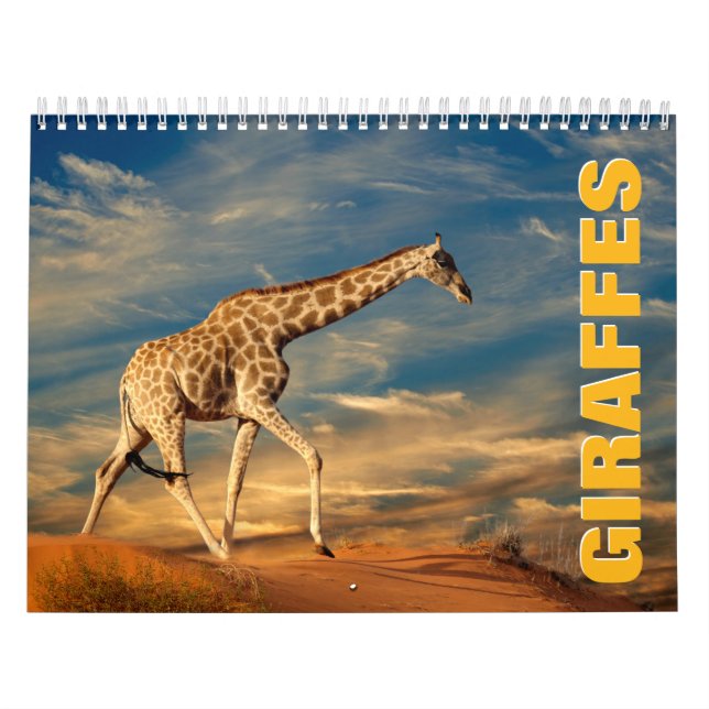 Calendário Girafas Wall Calendar (Capa)