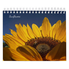 Calendário Girassóis (2ª edição)