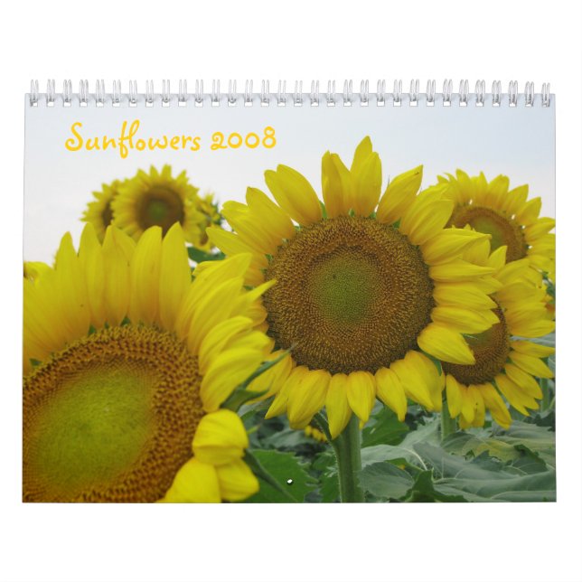 Calendário Girassóis 2008 (Capa)