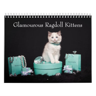 Calendário Glamorous Ragdoll Kittens