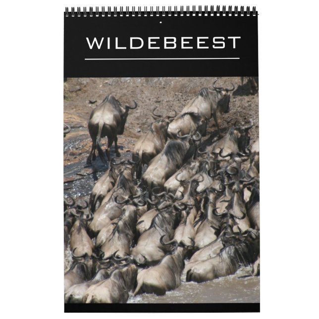 Calendário gnu (Capa)