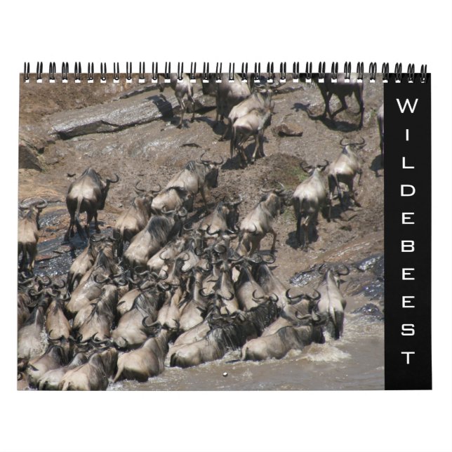 Calendário gnu 2027 (Capa)