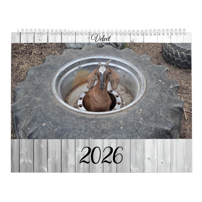 Calendário Goats of 2026 calendar (Capa)