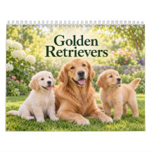 Golden Retrievers e Filhotes