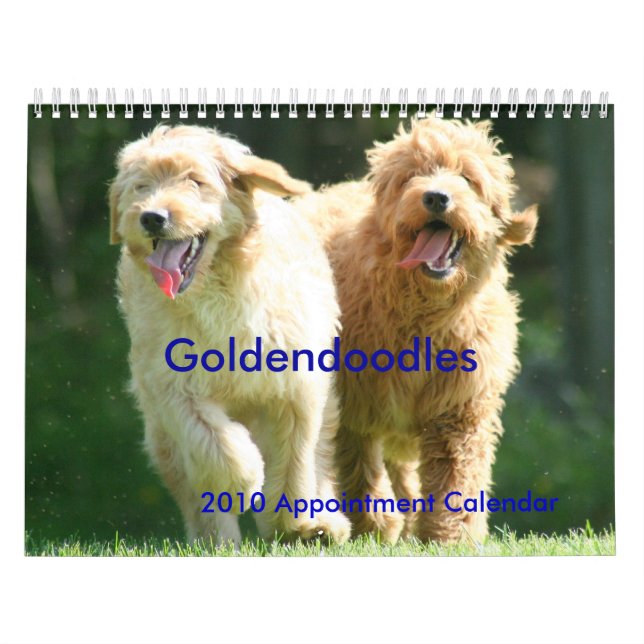 Calendário Goldendoodles (Capa)