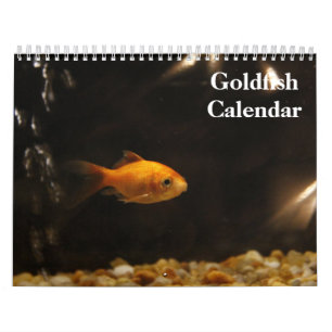 Calendário Goldfish 2025