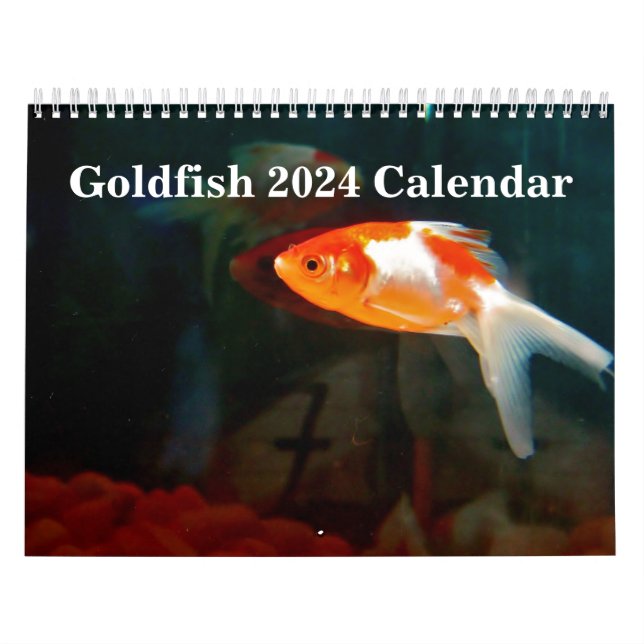 Calendário Goldfish 2025 (Capa)