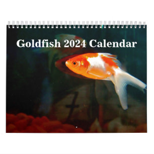 Calendário Goldfish 2025